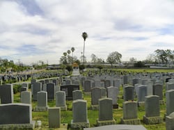 Chinese Cemetery of Los Angeles
