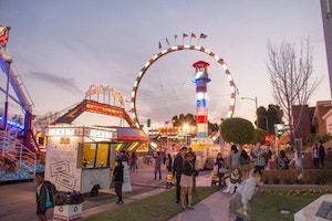 Camellia Festival in Temple City, Los Angeles County California