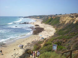 Crystal Cove State Park in Orange County, California