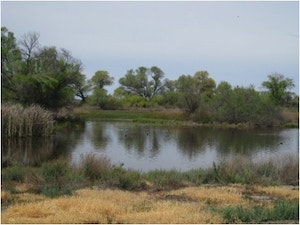 Kern National Wildlife Refuge