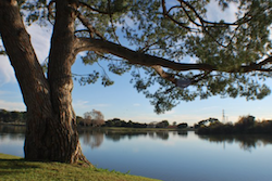 Legg Lake in Santa Fe Springs, California