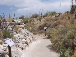 Living desert Zoo and Gardens in Palm Desert, California