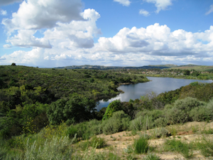 Peters Canyon Regional Park in Orange, CA