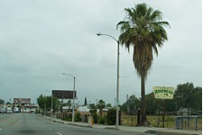 Rosemead