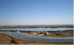 Palm Dale