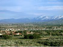 Palm Dale