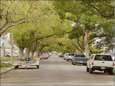 Arleta